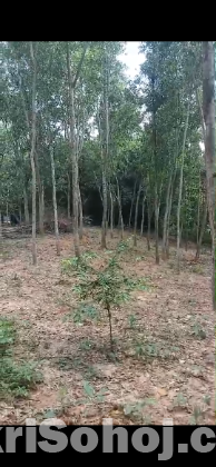 জায়গা বিক্রি